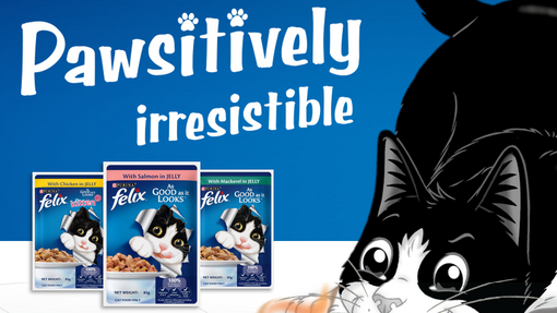 Felix purina cat best sale